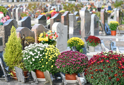 Cimetières : faciliter la préparation de la Toussaint - Cimetiere naturel de Souche