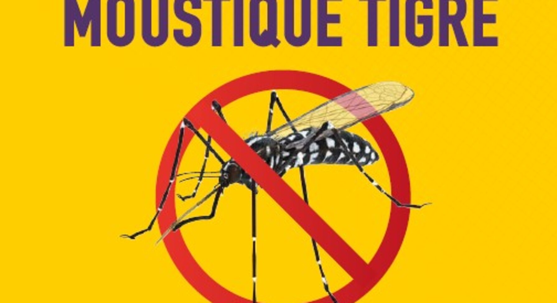 Affiche Niort Durable 2030 : Moustique tigre — au cimetière comme à la maison, privons-le d'eau.